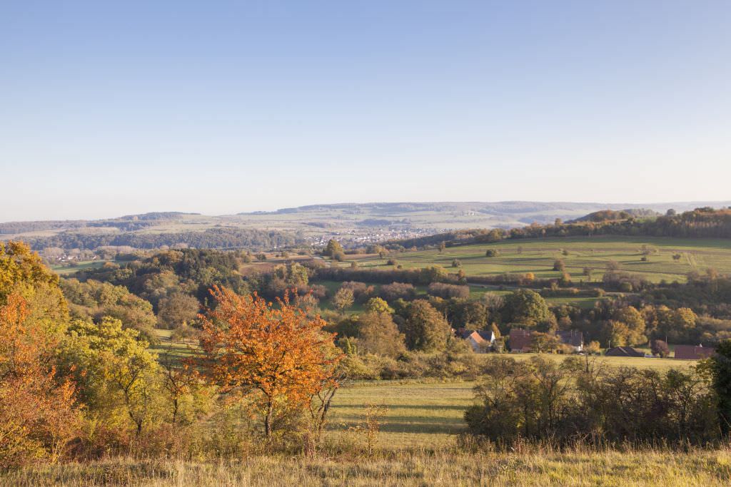 Grüße aus der Region Postkarten für das Biosphärenreservat Bliesgau